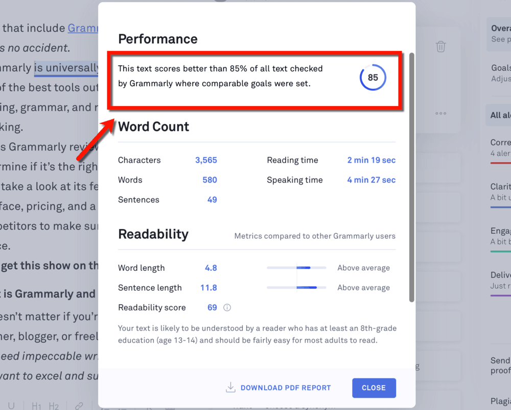 Grammarly Performance Score Report