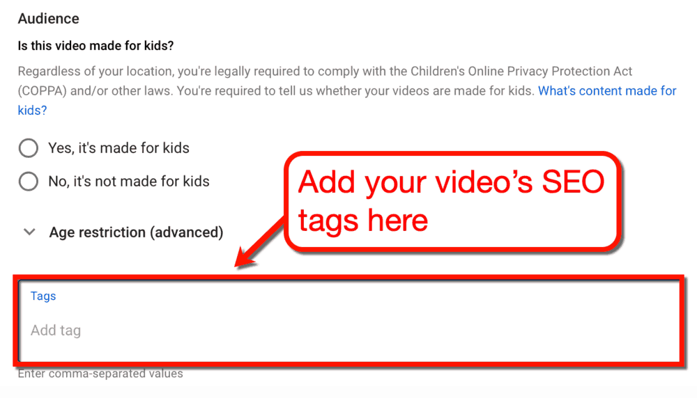 Add Video SEO Tags