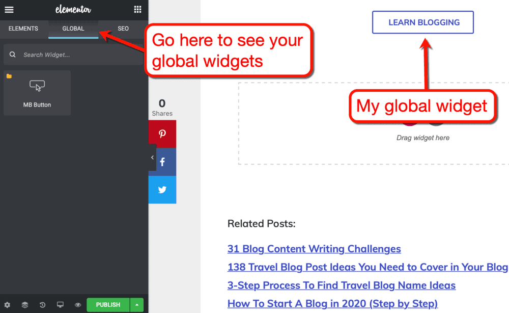 Learn Blogging Global Widget