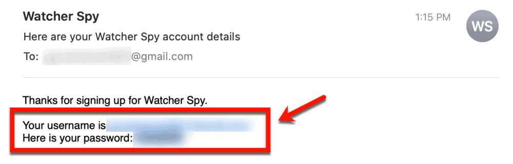 WatcherSpy Account Details Email