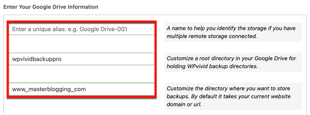 Enter Your Google Drive Information