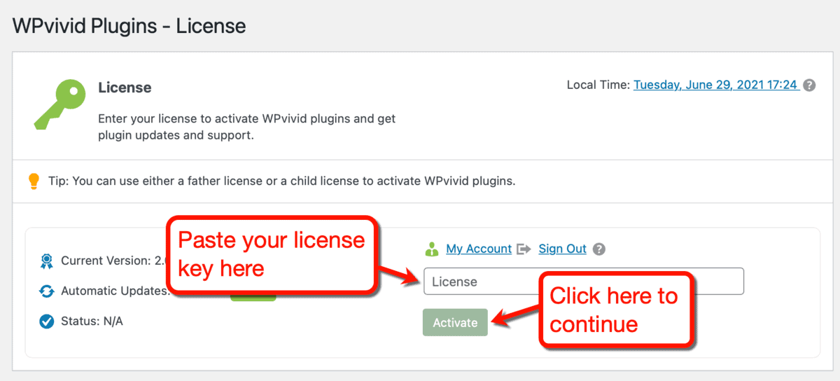 Activate WPvivid License