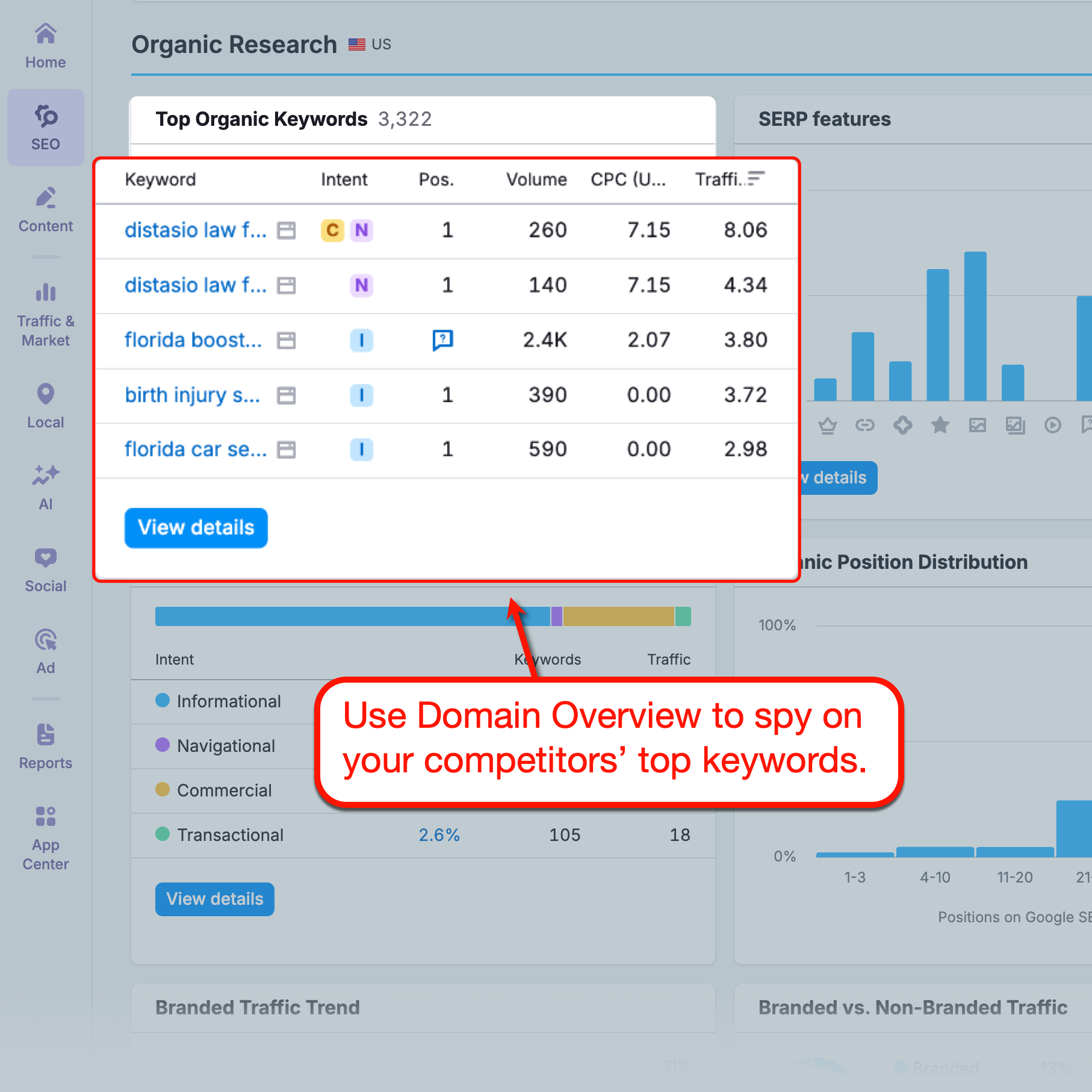 Domain Overview Top Organic Keywords