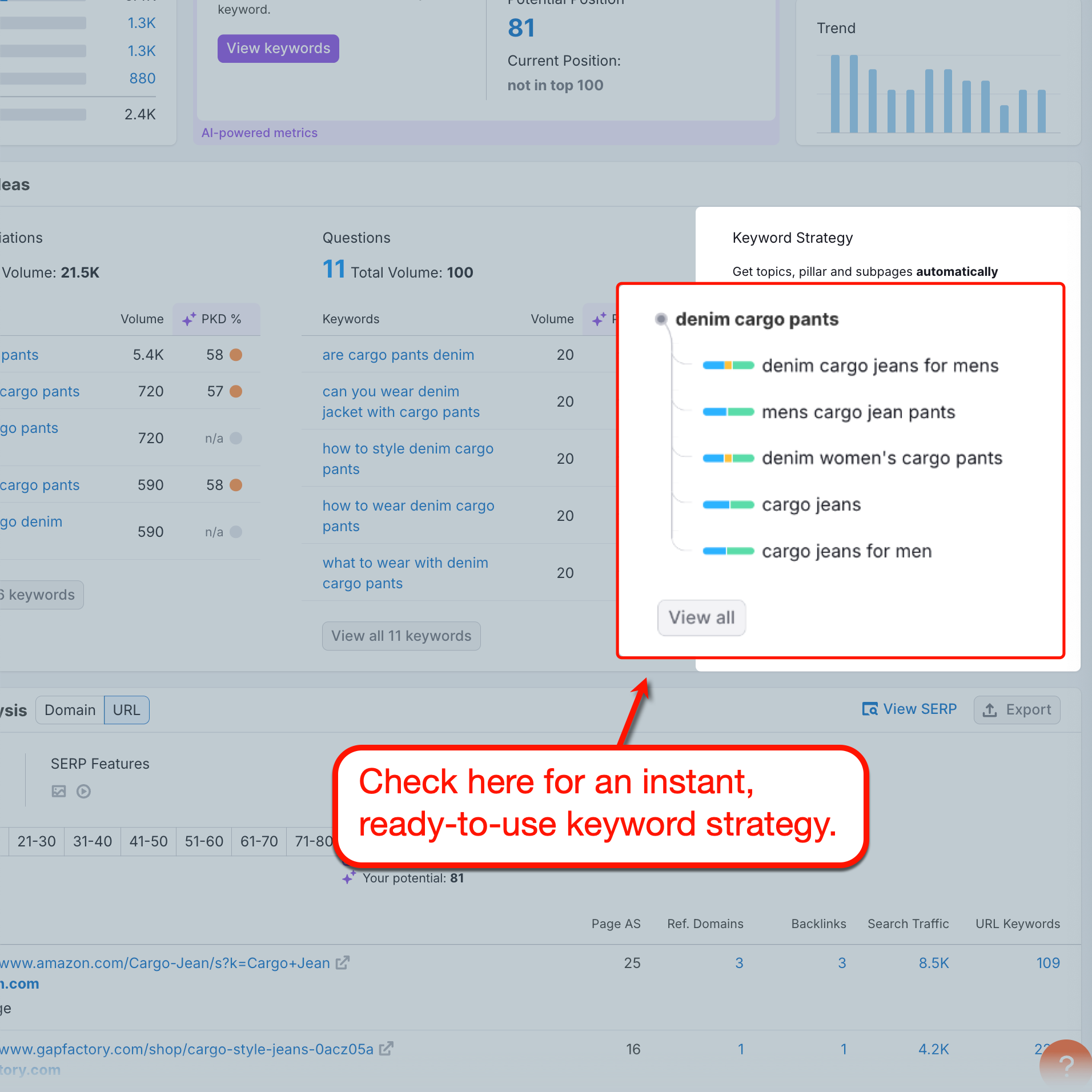 Keyword Overview to Strategy Builder