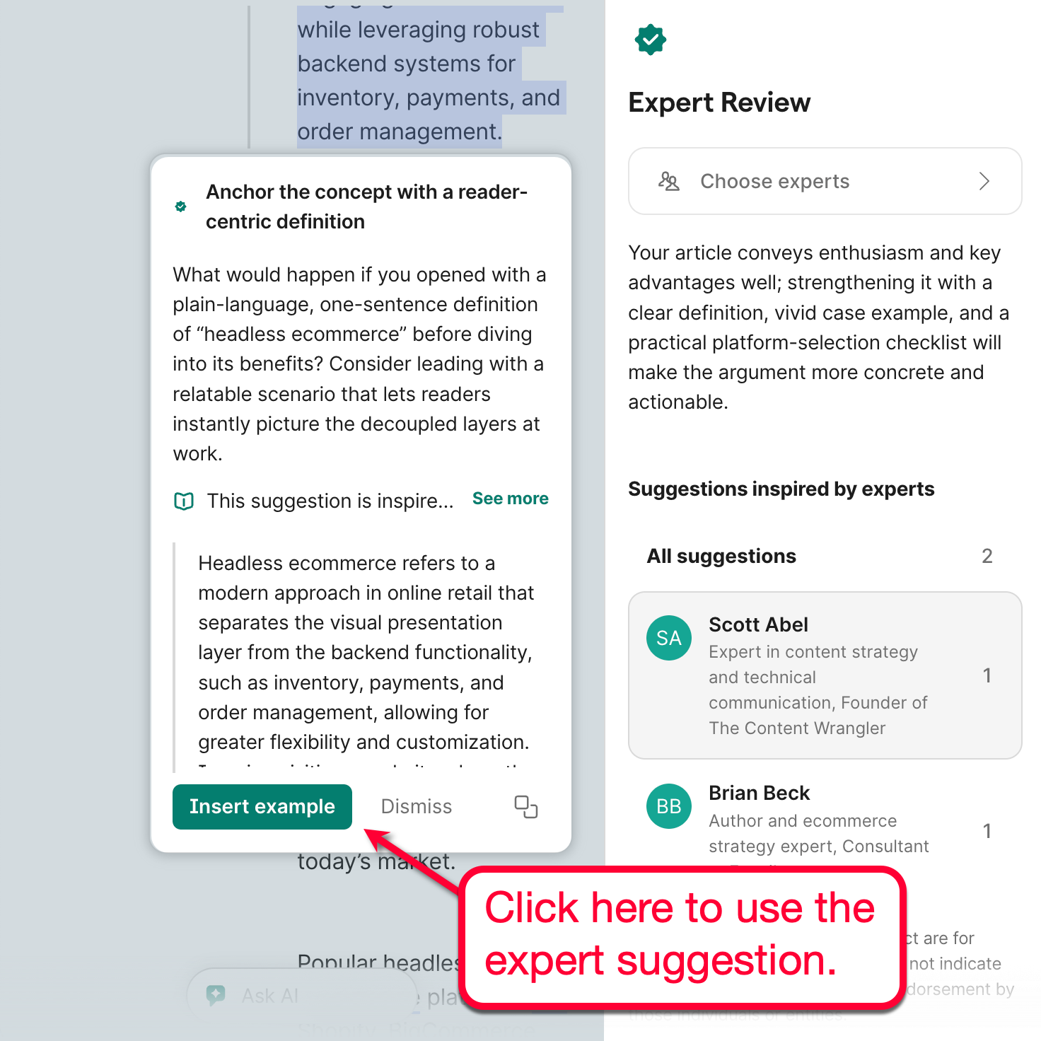 Expert Review Suggestions