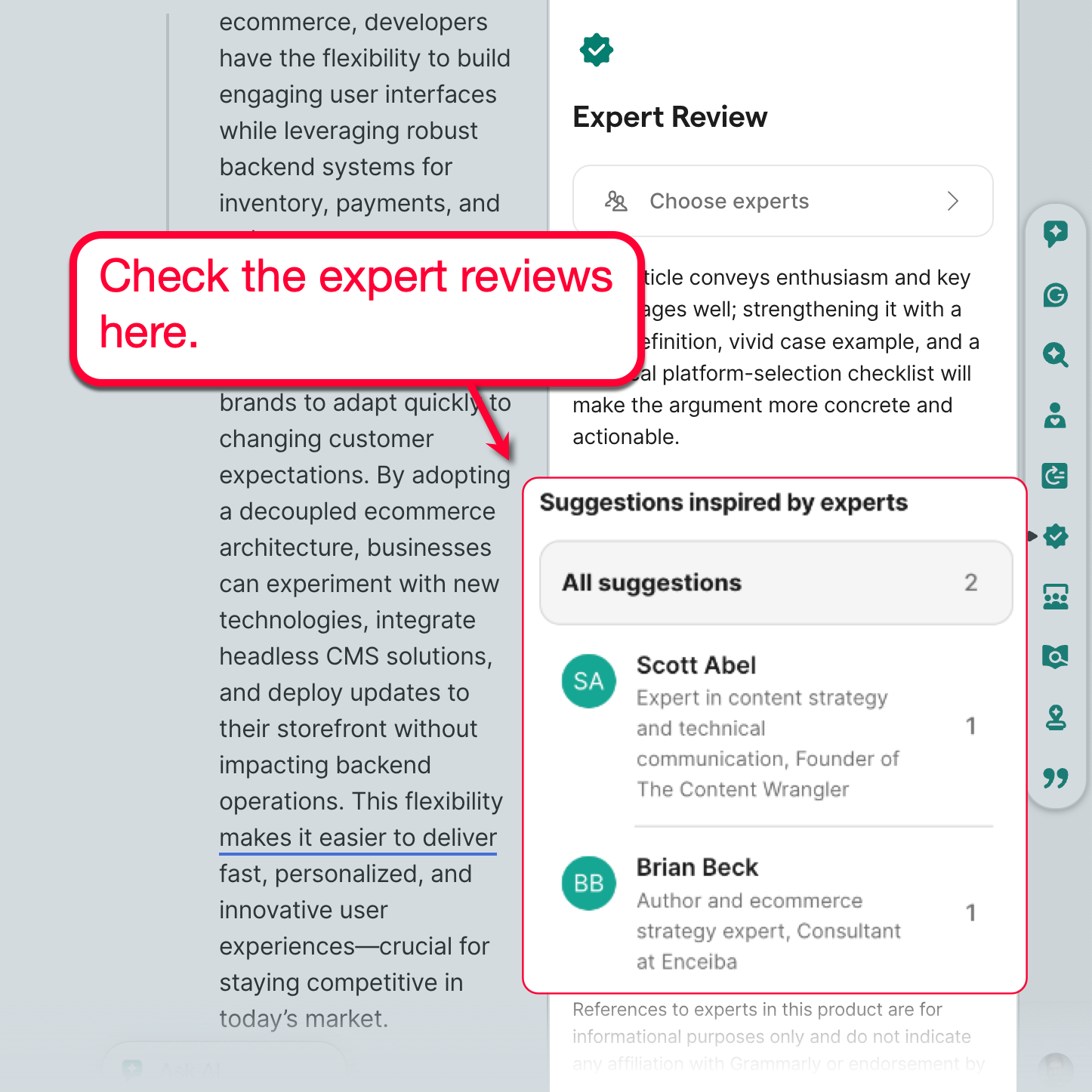Expert Review Suggestions