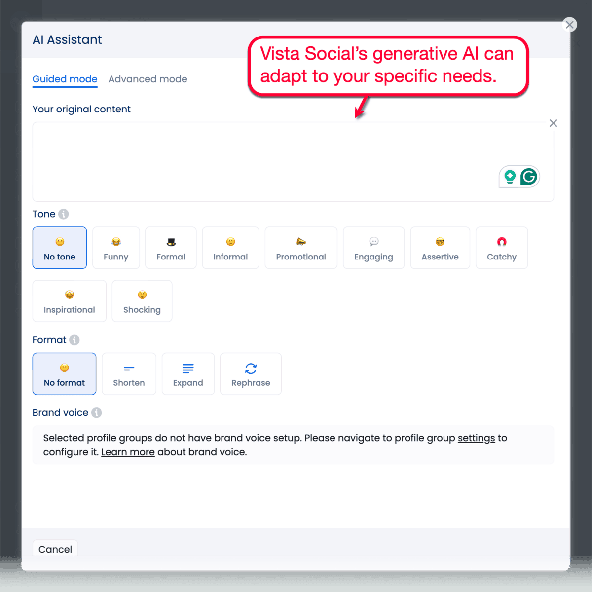 Vista Social AI Assistant