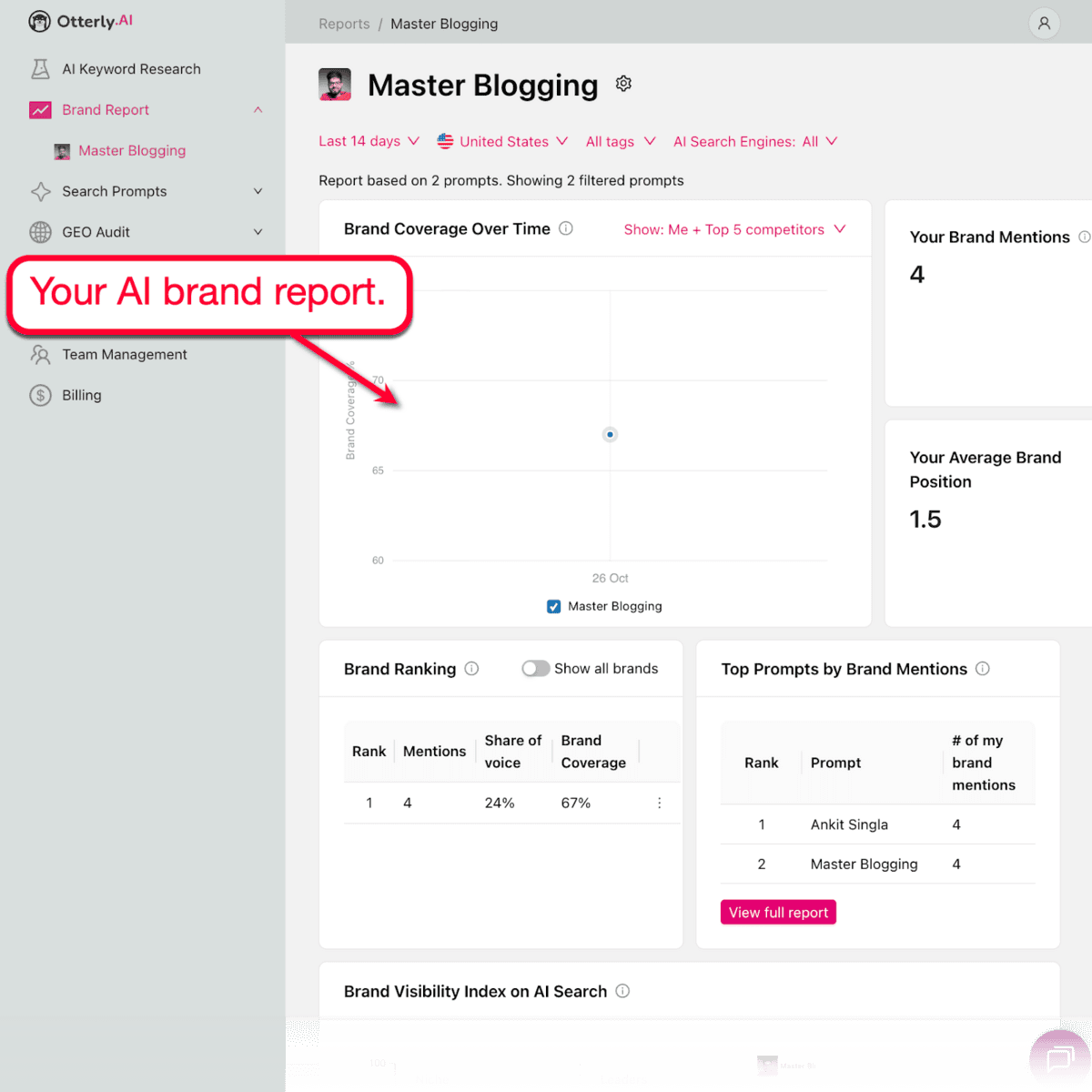 Otterly.ai 品牌报告