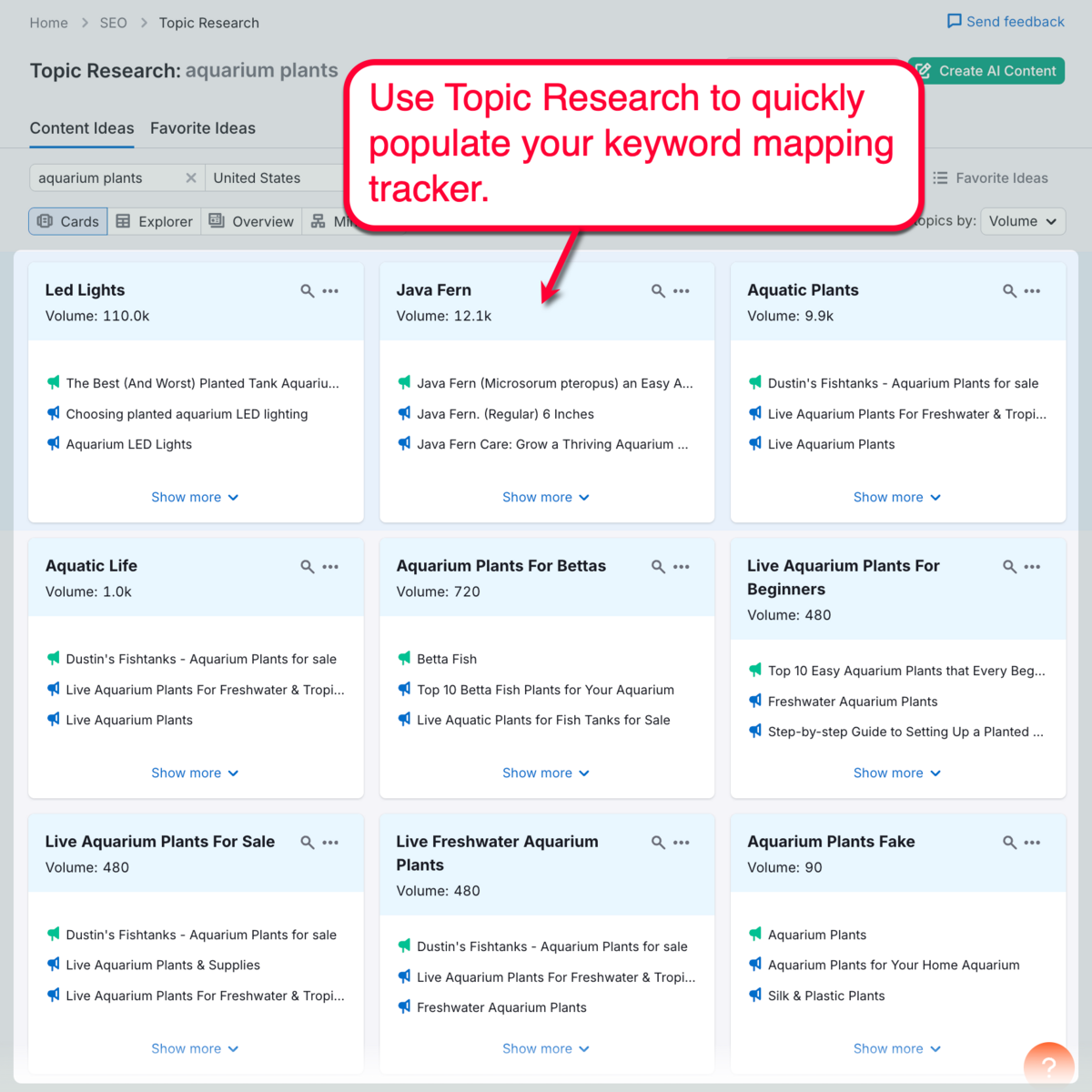 Topic Research Tool