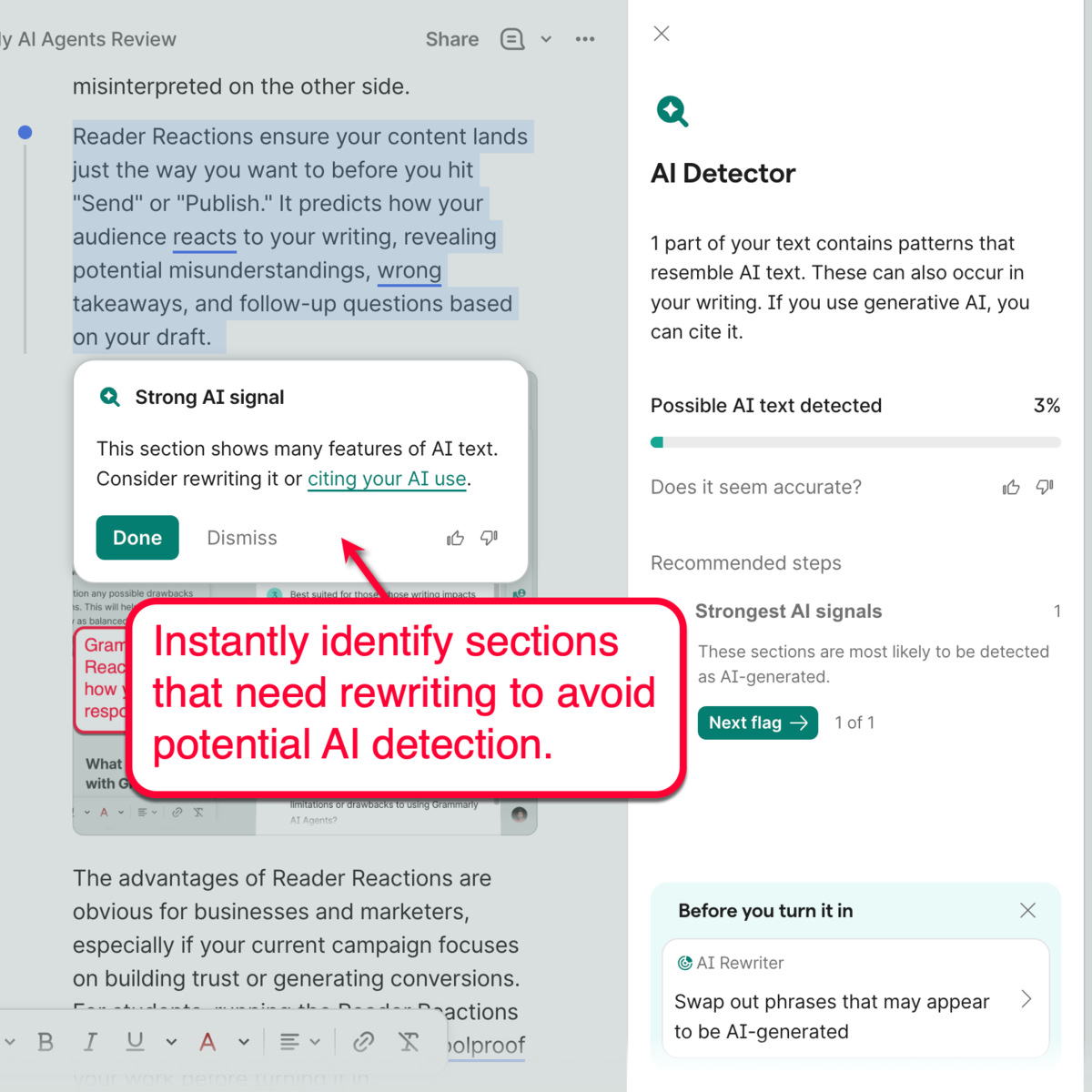 Grammarly AI Detector