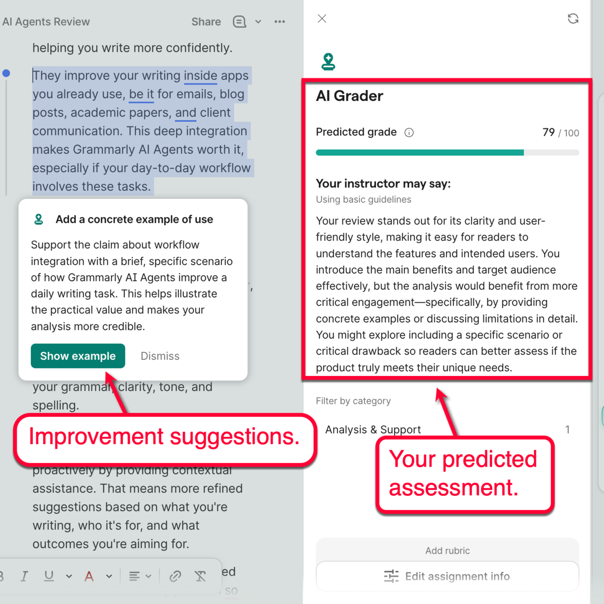 AI Grader Report
